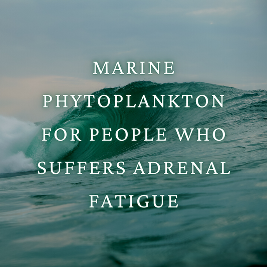 Marine Phytoplankton For People Who Suffers Adrenal Fatigue