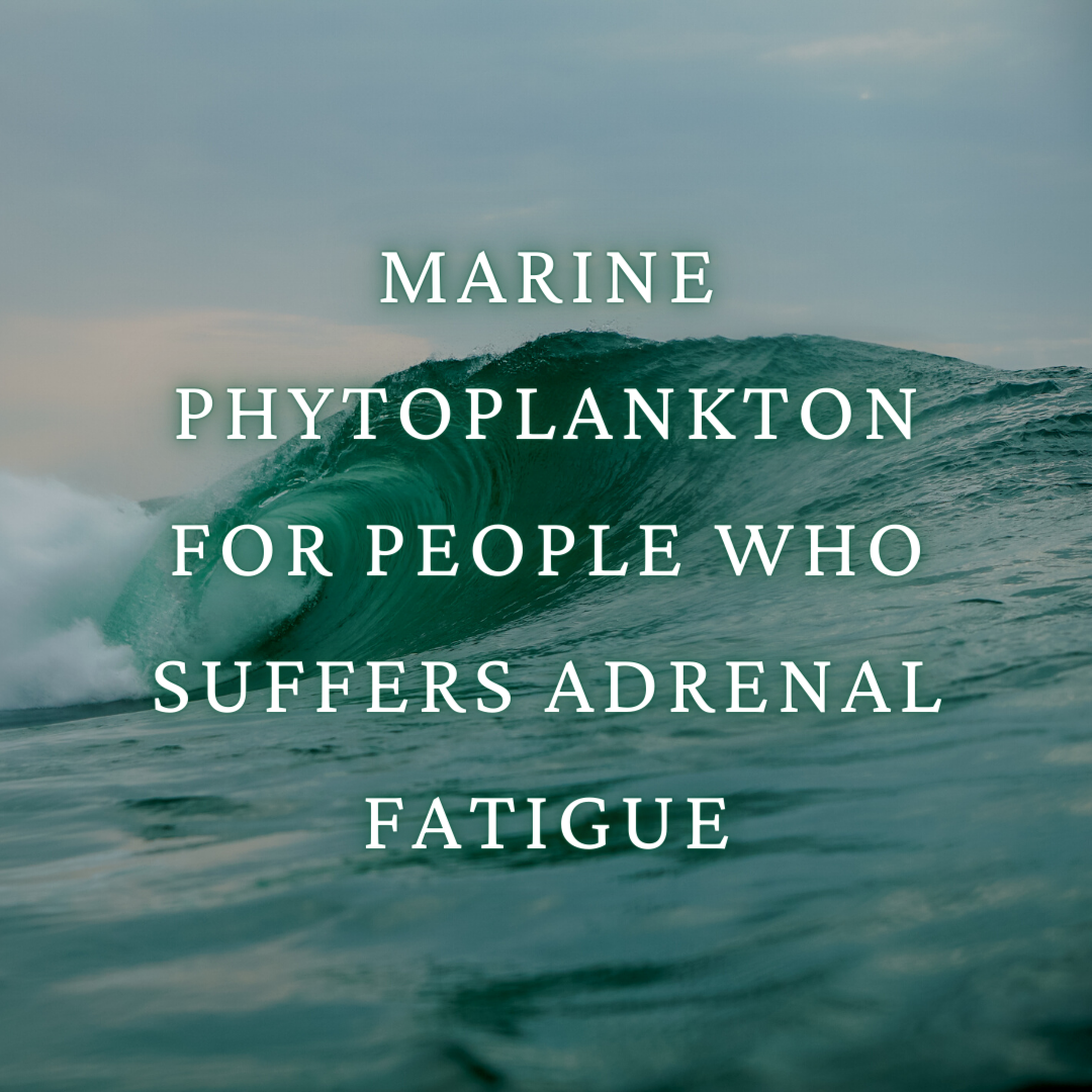 Marine Phytoplankton For People Who Suffers Adrenal Fatigue