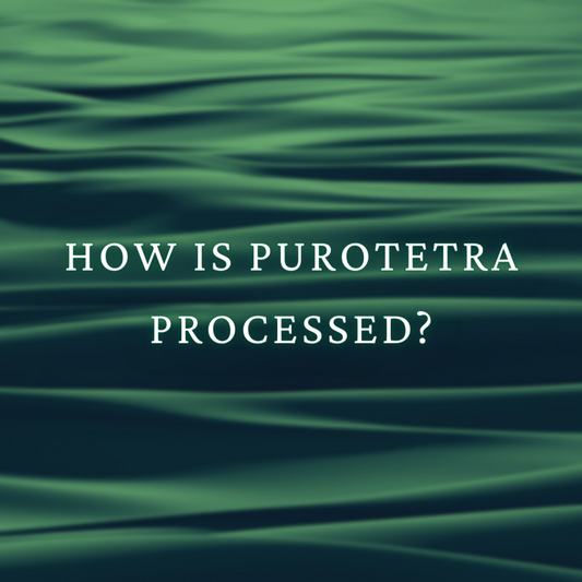 How is PuroTetra Processed?