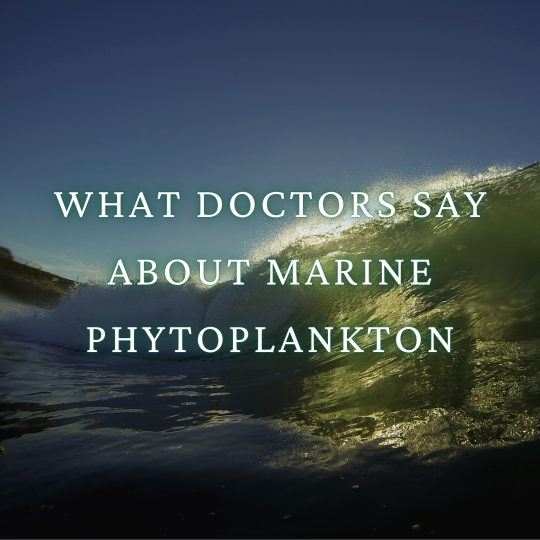 What Doctors say about Marine Phytoplankton
